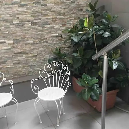 Design Loft *